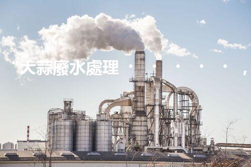 “大蒜廢水處理，綠色環(huán)保新篇章”